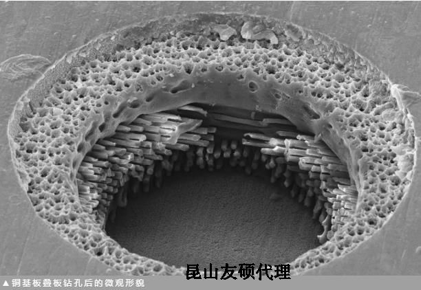 大渡口蔡司大渡口扫描电镜